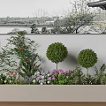 Plant Combination in Rectangular Planter Featuring Rounded Shrubs Pink Purple White Flowers 3d model