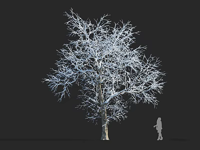 Tall Leafless Tree With White Covered Branches And Silhouette Figure On Dark Background 3d model