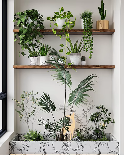 Indoor Green Wall With Wooden Shelves And Various Plants 3d model