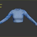 Fashionable Light Blue Long Sleeve Cropped Top for Daily Casual Wear