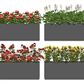 Decorative Rectangular Dark Planters With Red Pink White Yellow Vibrant Blooms 3d model