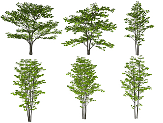 Modern Tree Landscape Tree Plants 3d model