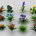 Colorful Flowers And Green Plants With Various Vibrant Petals And Lush Leaves