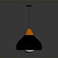 Modern Lighting Combination With Black Pendant Light And Orange Interior Shade