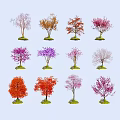Colorful Arbor Trees Displaying Various Foliage Colors For Garden Design