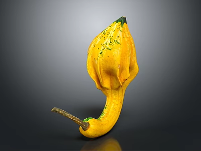 Exotic Yellow Gourd with Unique Curved Shape and Green Spots as Fresh Organic Vegetable 3d model