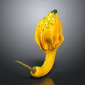 Exotic Yellow Gourd with Unique Curved Shape and Green Spots as Fresh Organic Vegetable