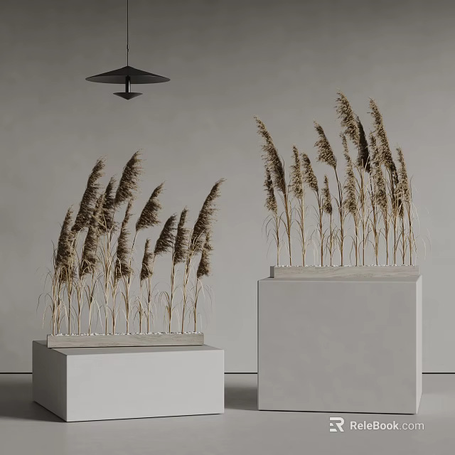 Dried Decorative Reeds Arranged On White Pedestals With Gray Walls And Pendant Light 3d model 