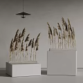 Dried Decorative Reeds Arranged On White Pedestals With Gray Walls And Pendant Light