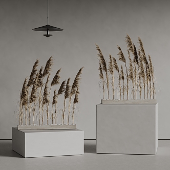 reed rice spike wheat spike 3d model