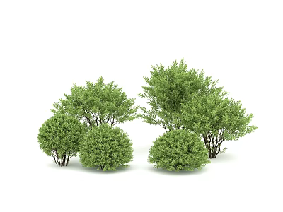 Multiple Green Shrubs With Various Shapes And Sizes On White Background 3d model
