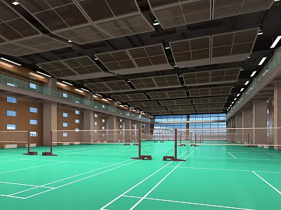 Spacious Indoor Badminton Court With Green Flooring Multiple Nets For Sports Fitness 3d model