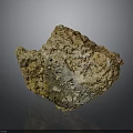 Natural Wood Stone Material With Porous Textured Surface And Earthy Tones