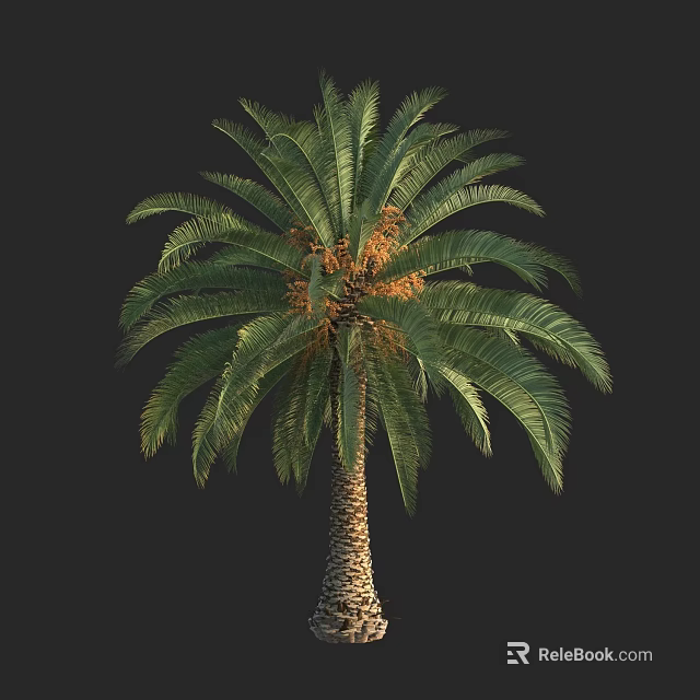 Lush Palm Tree With Green Fronds And Textured Trunk In Isolated Black Background 3d model 