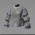 Light Gray Jacket With Lace Collar Puffed Sleeves And Striped Trim Design
