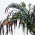 Decorative Glass Vase With Green Purple Leaves And Flower Buds For Home Decor