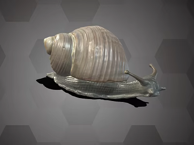 Gray Snail With Spiral Textured Shell On Hexagonal Background Surface 3d model