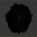 Detailed 3D Head Model With Realistic Facial Organs And Natural Hair Structure