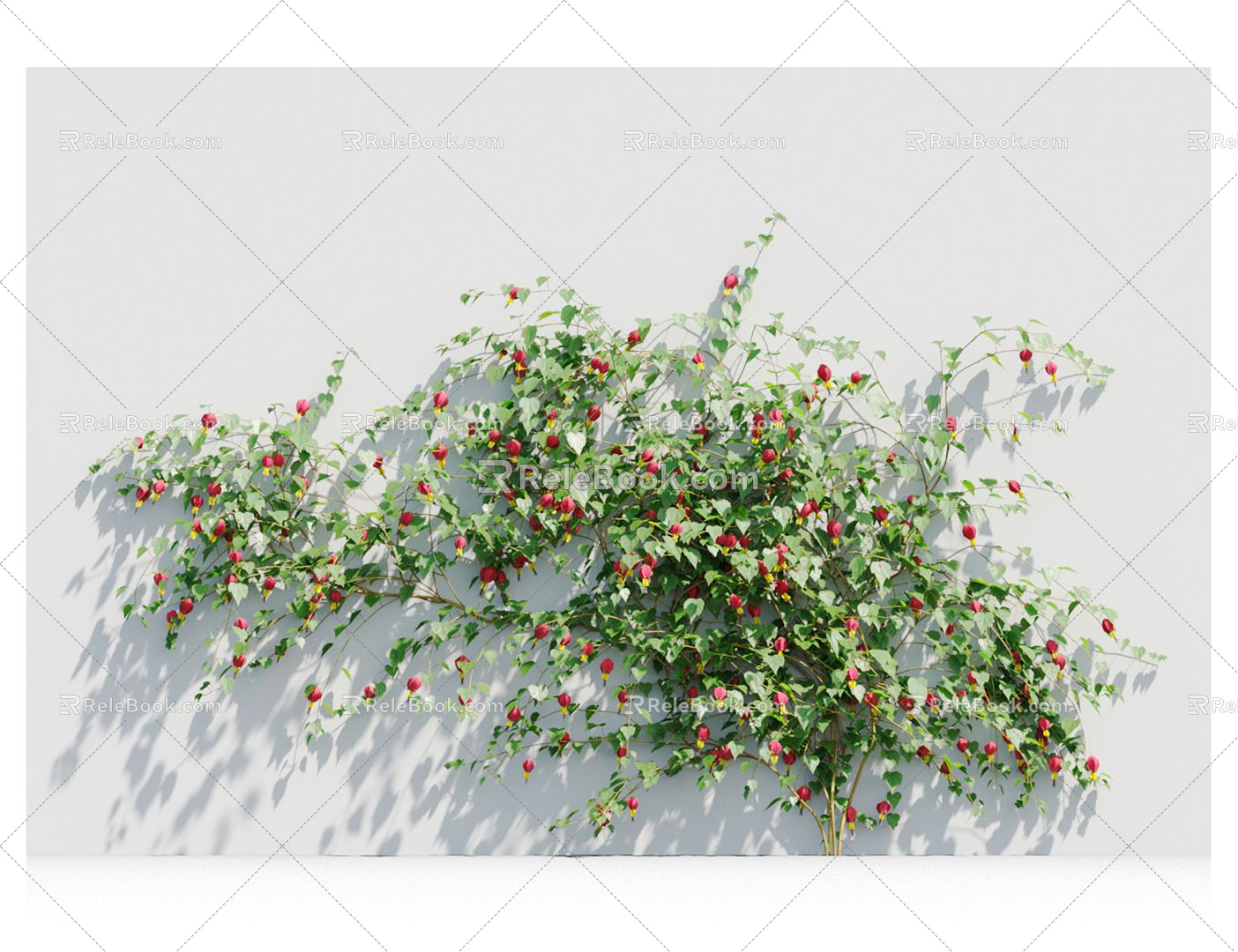 Modern Vine Vine Plant 3d model