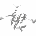 A group of white doves with some flying and others on ground against white background