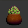 Succulent Plant with Green Leaves and Pink Tips in Orange Pot with Cherry Blossom Pattern
