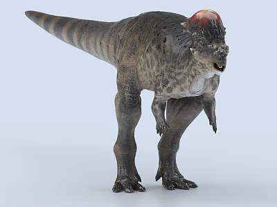Realistic Dinosaur Model Featuring Dark Striped Skin Red Head Crest And Open Mouth Standing Pose 3d model