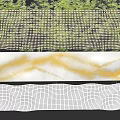 Building Exterior Wall With Green Plants And White Yellow Grid Pattern Design