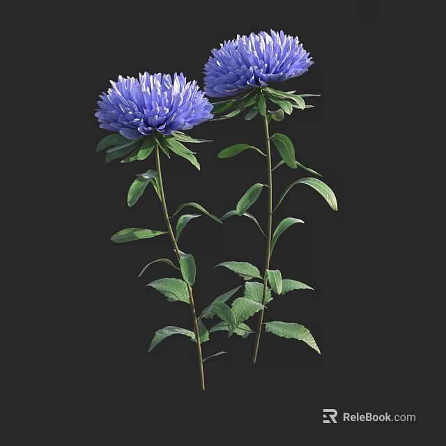 Blue Asters In Decorative Vase With Green Leaves And Stems On Black Background 3d model 