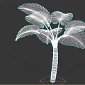 Tropical Indoor Plant with Large Green Leaves and Thick Wooden Stem for Home Decoration