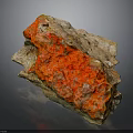 Natural Wood Stone Specimen With Vibrant Red Brown Color And Rough Texture