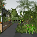 Tropical Garden Landscape With Palm Trees Various Plants Pathway Benches And Plant Shelves