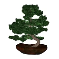 Artistic Bonsai Tree with Curved Trunk and Green Pine Needles in Stone Pot