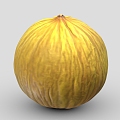 melon fruit pumpkin cantaloupe 3d model