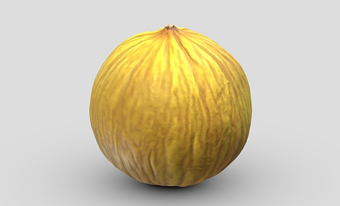 melon fruit pumpkin cantaloupe 3d model