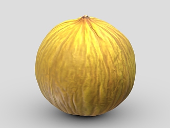 melon fruit pumpkin cantaloupe 3d model