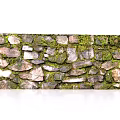 Natural Stone And Wood Wall Design With Lush Moss And Textured Surfaces