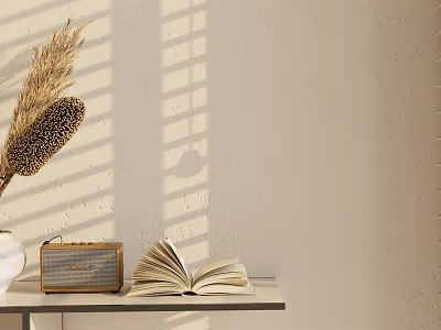 Decorative Ornament Set With Pampas Grass Vintage Radio Open Book And Sunlight Shadows 3d model