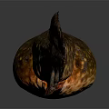 Spotted Brown And Orange Fish With Long Body And Textured Surface On Dark Background