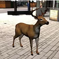 Brown Deer With Antlers Standing On Green Background In Side Profile View