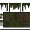 Various Vines Decorative Design With Hanging Green Leaves And Wall Covering Styles