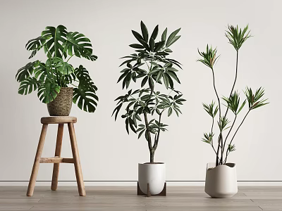 Green Plant Potted Horse Tail Iron Malabama Bonsai 3d model