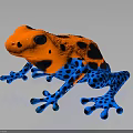 Vibrant Colorful Frog Displaying Orange Body Black Spots And Blue Legs