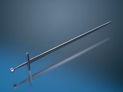 Modern Sword Fencing 3d model Modern Sword Fencing 3d model