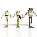 Three Animated Cartoon Frogs With Different Colors And Standing Poses