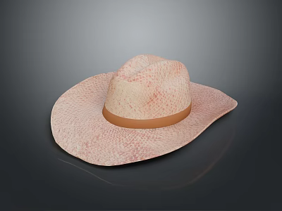 Woven Straw Hat With Wide Brim And Brown Band For Summer Daily Use 3d model