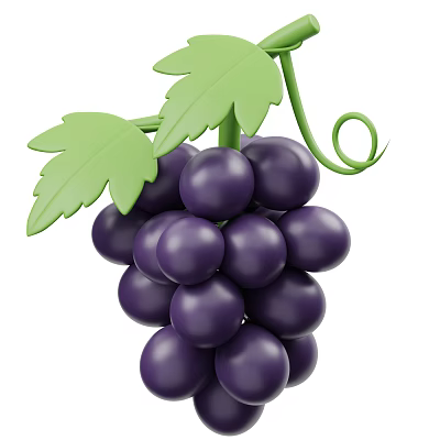 Fresh Ripe Purple Grapes Bunch With Green Leaves And Curly Vine 3d model