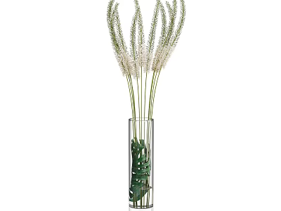 Tall Glass Vase With White Feathery Flowers And Green Leaves For Home Decor 3d model