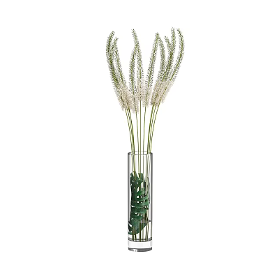 Tall Glass Vase With White Feathery Flowers And Green Leaves For Home Decor 3d model