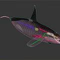 Colorful Orca Aquatic Animal With Vibrant Lights And Shiny Reflection Surface