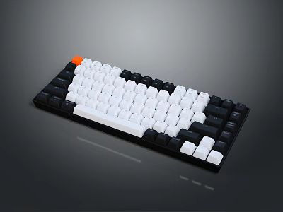 Mechanical Keyboard With Black White Design And Orange Accent Key For Office And Gaming Use 3d model